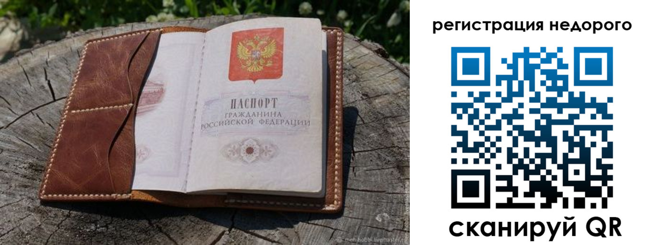 прописка гарантия в Полярных Зорях